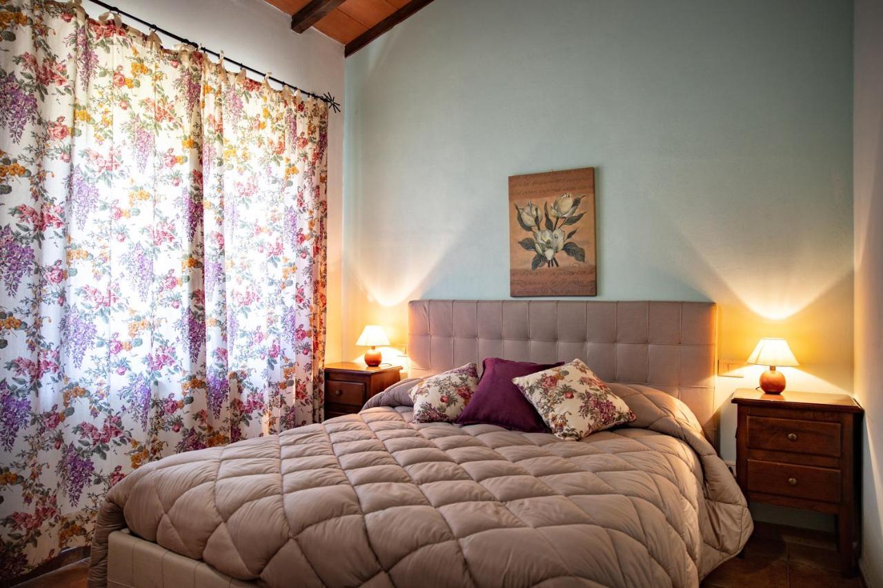 Il Poggio Degli Olivi Villa Бетона Екстериор снимка