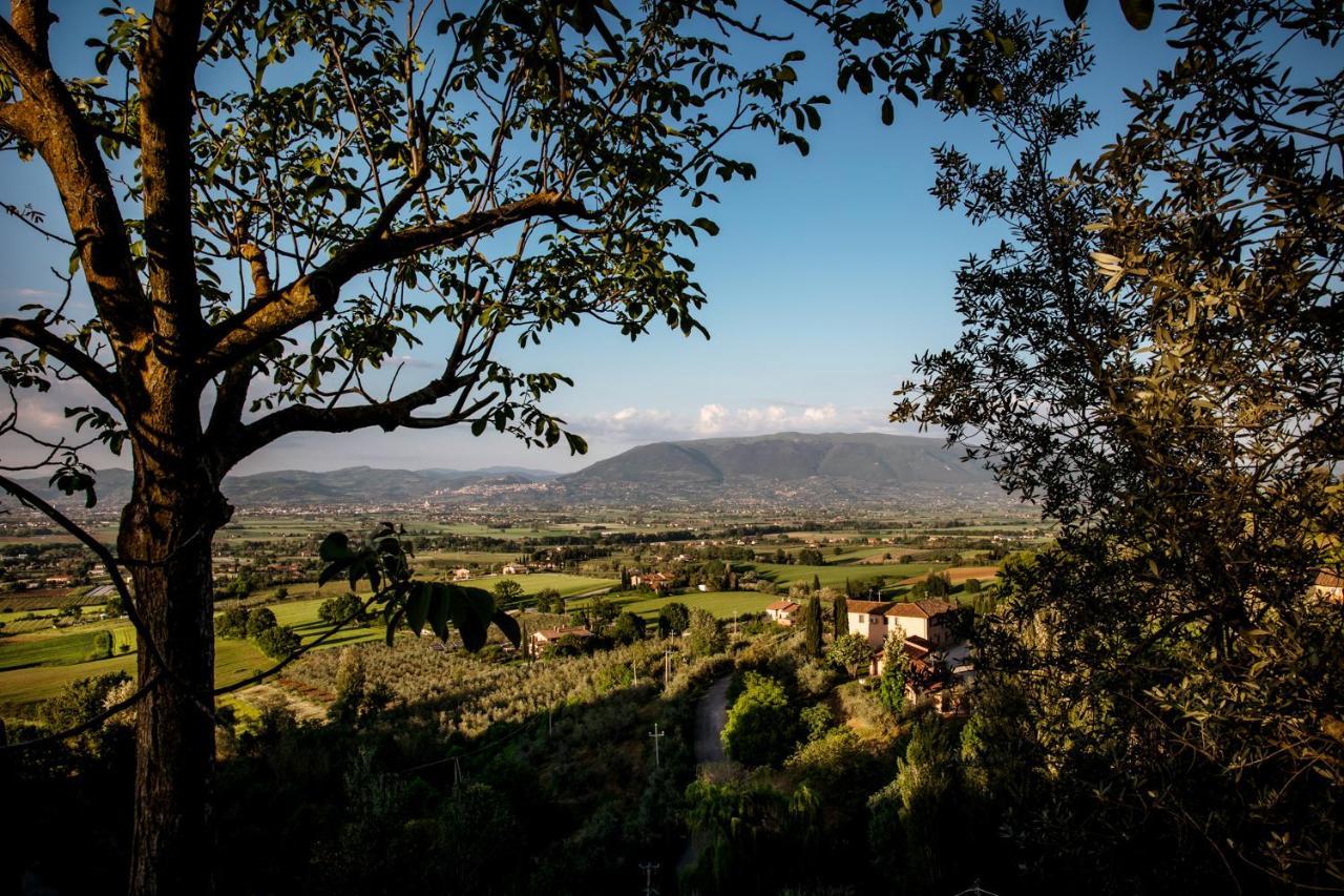 Il Poggio Degli Olivi Villa Бетона Екстериор снимка
