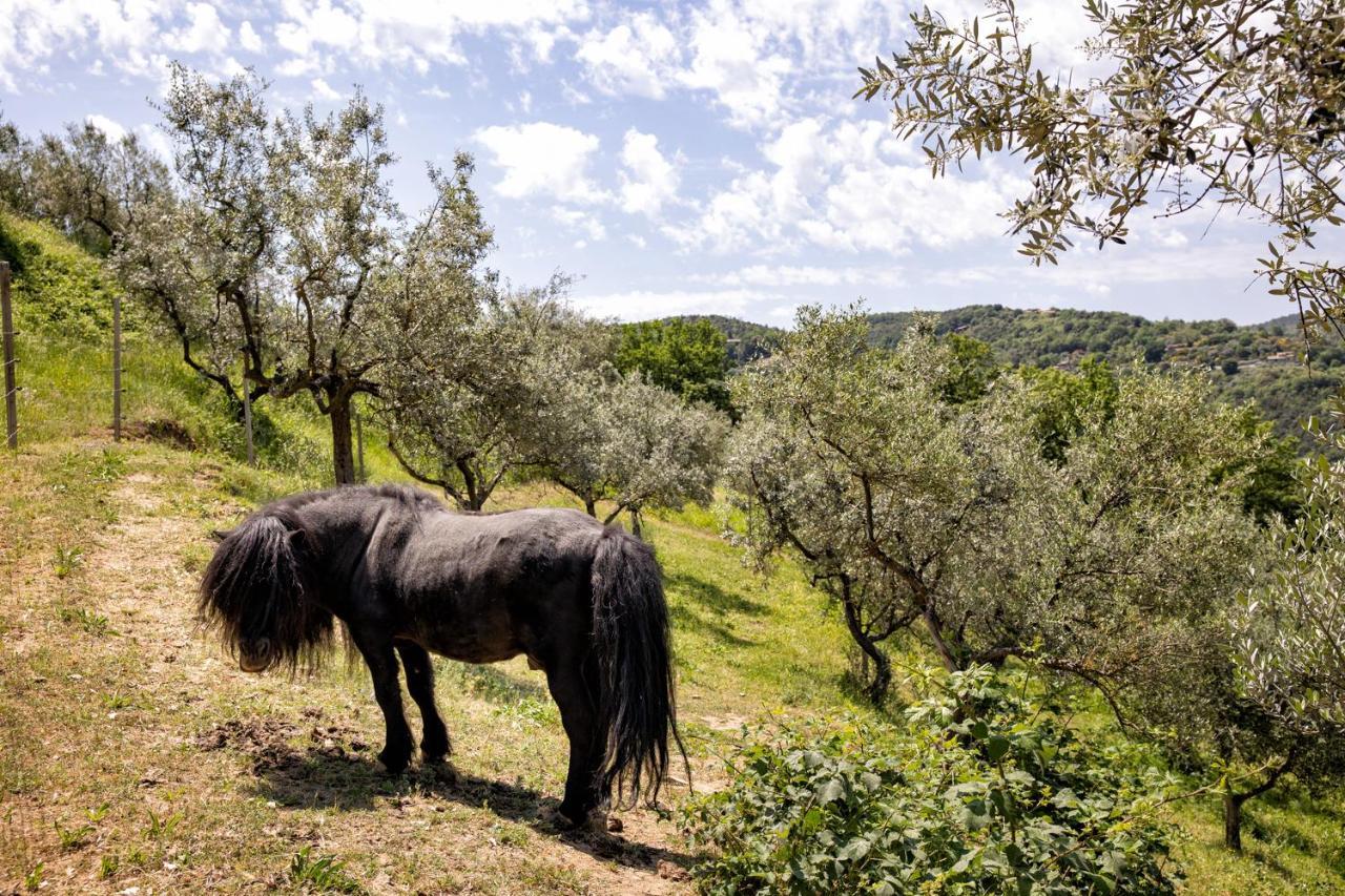 Il Poggio Degli Olivi Villa Бетона Екстериор снимка