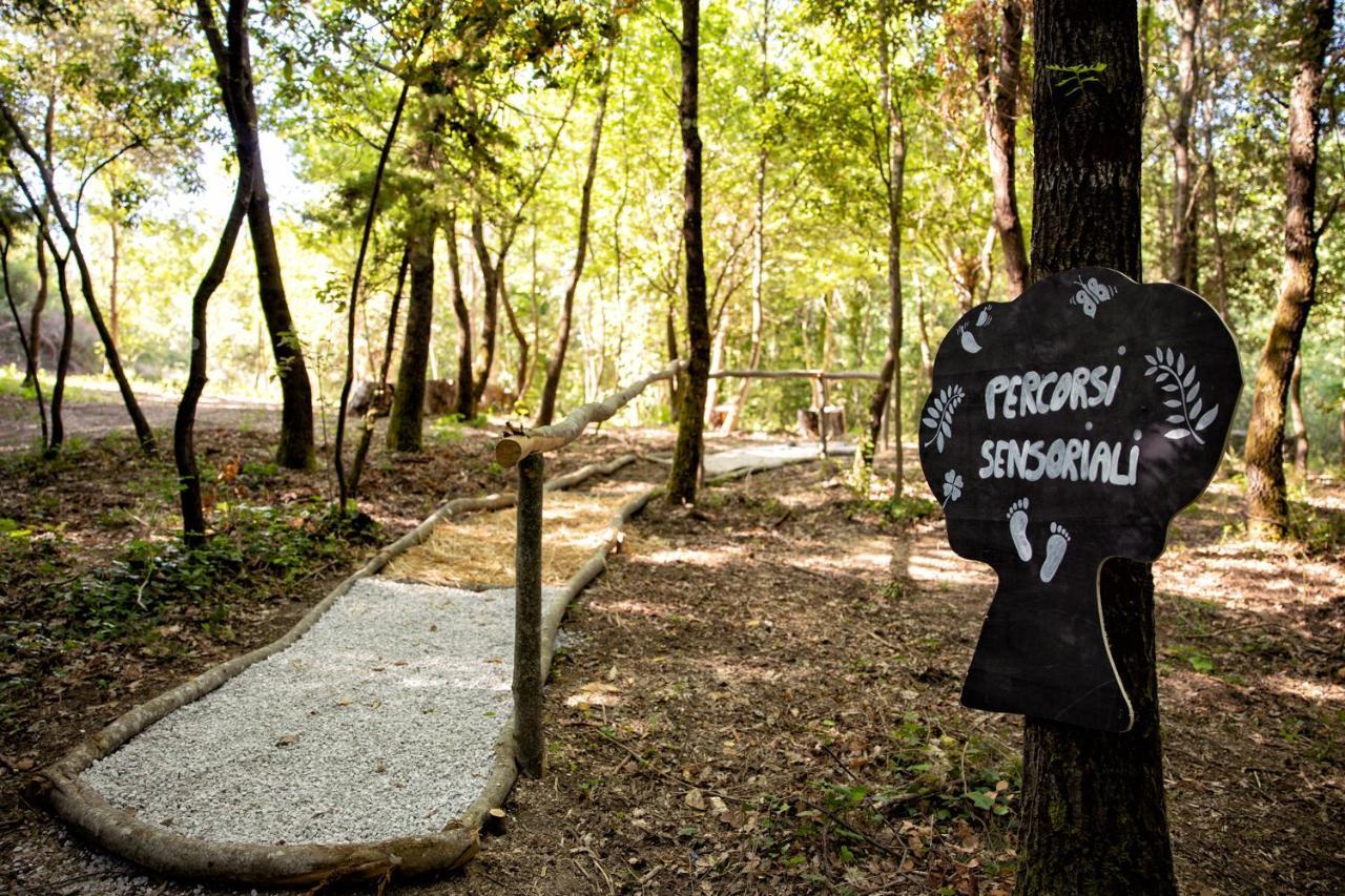 Il Poggio Degli Olivi Villa Бетона Екстериор снимка